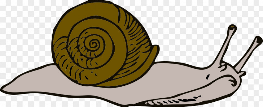 Snail Cliparts Sea Clip Art PNG