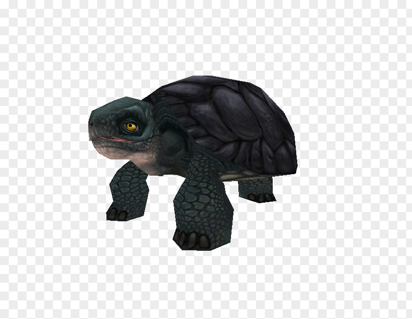 Tortoise Figurine PNG