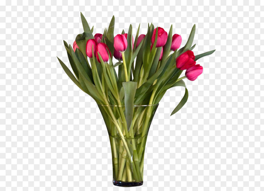 Tulip Vase Cut Flowers Floral Design PNG