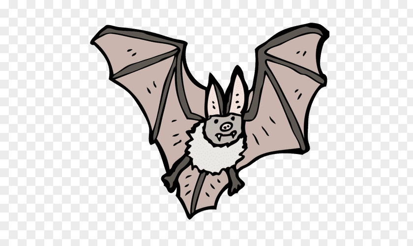 Vampire Bat Cartoon Royalty-free Illustration PNG