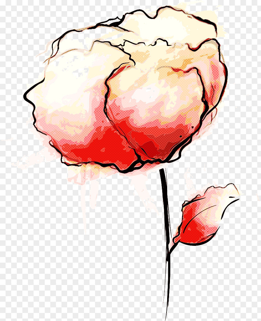 Garden Roses PNG