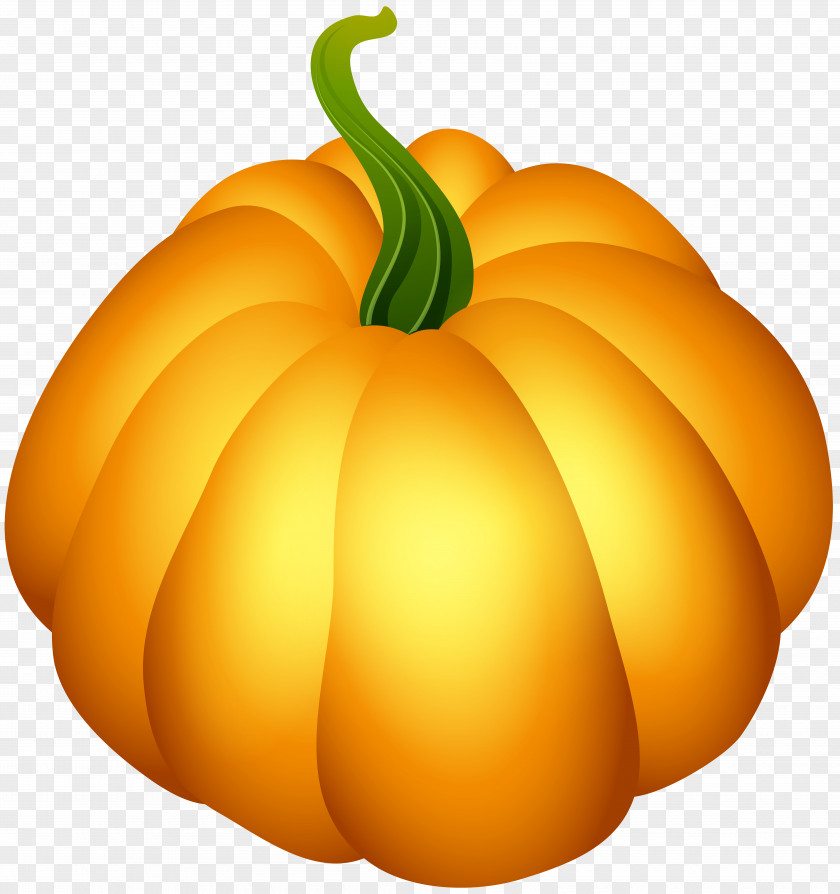 Pumpkin Clip Art Image PNG