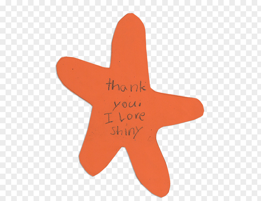 Shiny Stars Starfish PNG