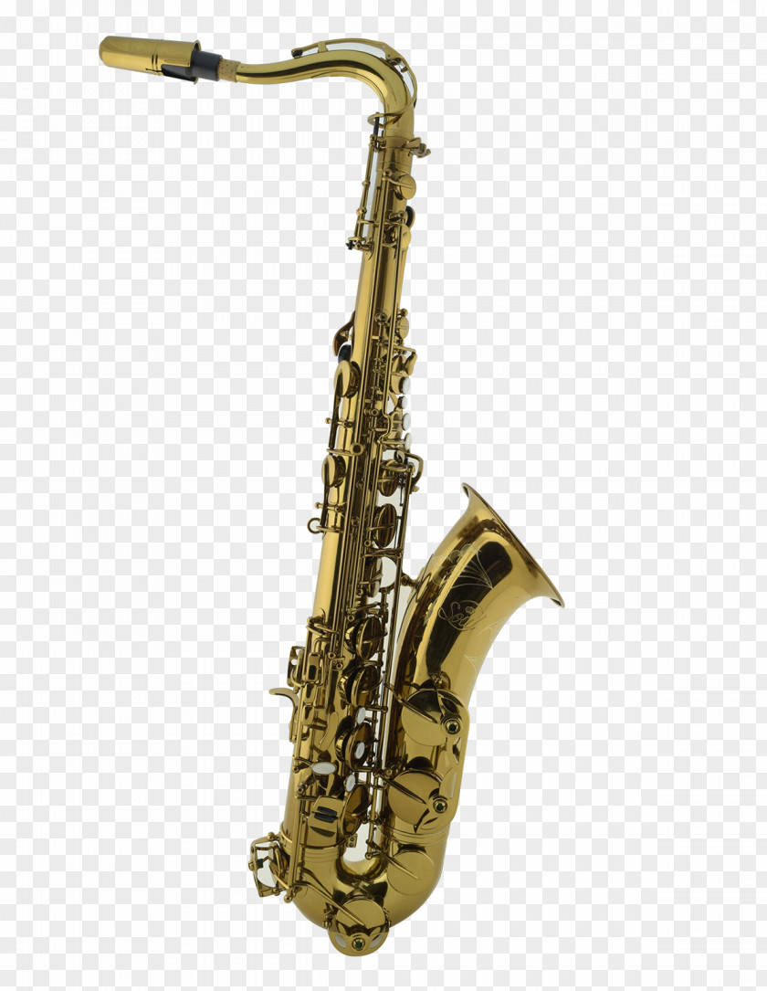 Tenor Saxophone Baritone Oboe PNG