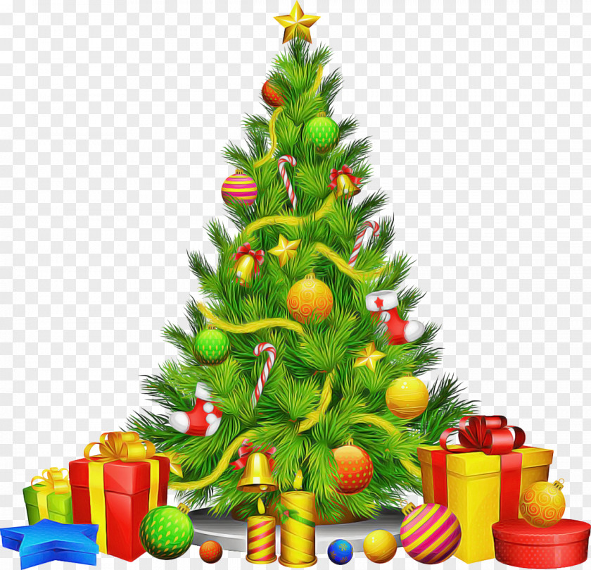 Christmas Lights Pine Family Tree PNG