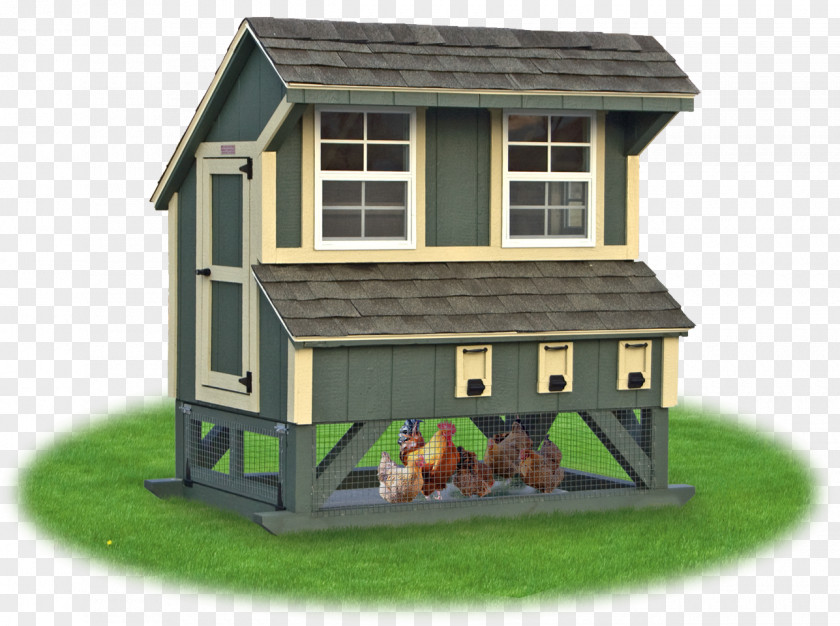 Condominium Chicken Coop House Farm PNG