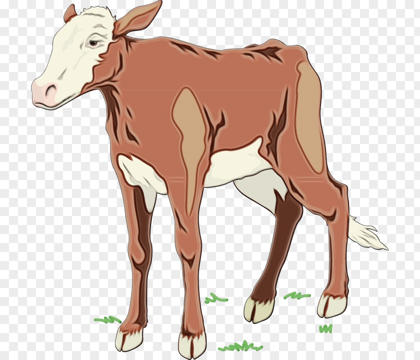 Dairy Cattle Goat Calf Holstein Friesian Ox PNG