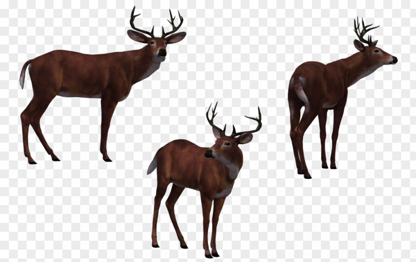 Deer Hunter 3D Computer Graphics PNG