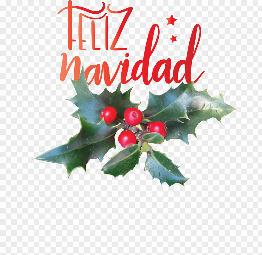 Feliz Navidad Merry Christmas PNG