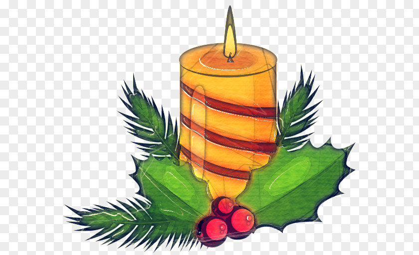 Plant Fir Candle Clip Art Lighting Leaf Tree PNG