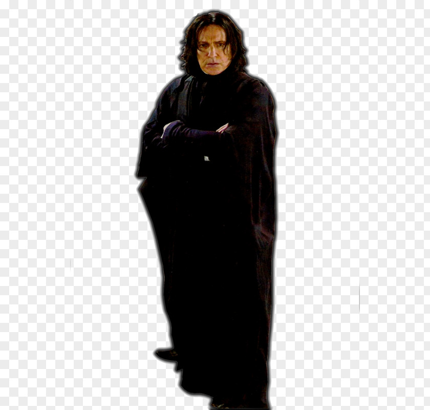 Severus Snape Picture Professor Harry Potter And The Half-Blood Prince Lord Voldemort PNG