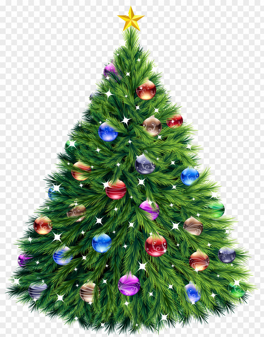Transparent Christmas Tree Clipart PNG