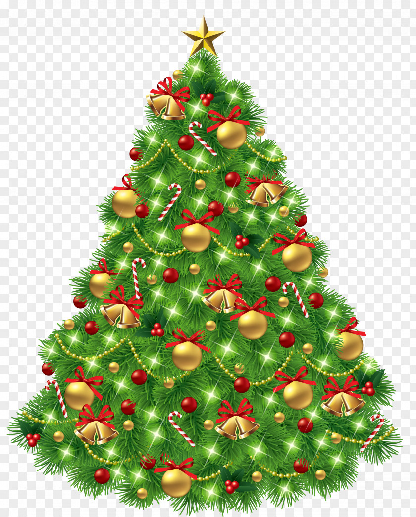 Transparent Christmas Tree With Ornaments And Gold Bells Picture Day Clip Art PNG