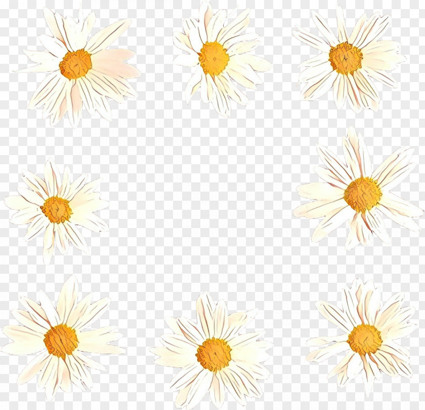 Wildflower Chamaemelum Nobile Sunflower Cartoon PNG