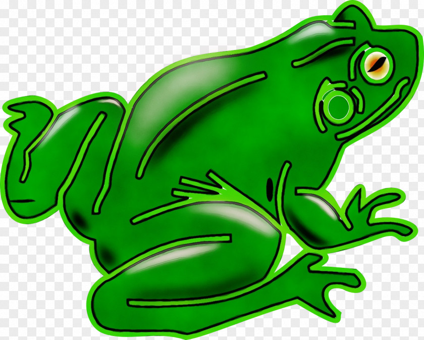 Agalychnis Poison Dart Frog Watercolor Tree PNG
