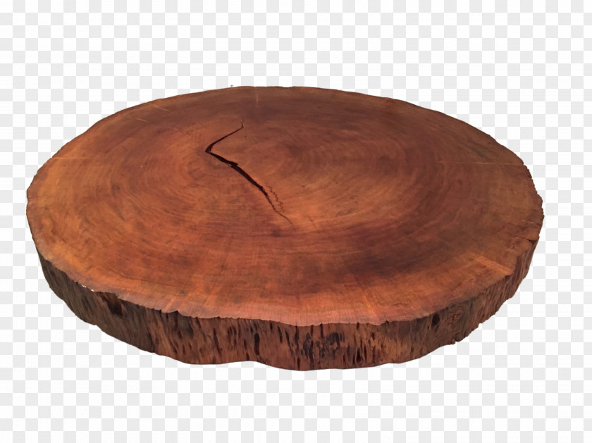 Madeira Table Wood Trunk Tree Ceramic PNG