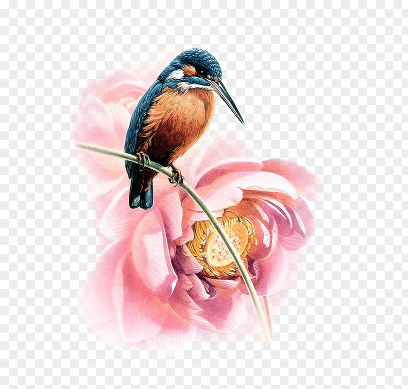 Painting Watercolor Bird Time PNG