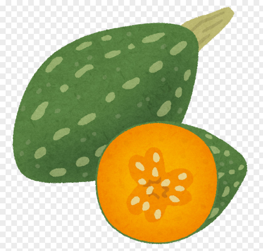 Pumpkin いらすとや Fruit Rugby PNG