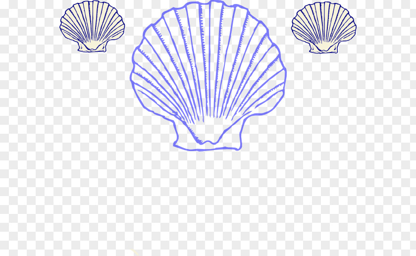 Seashell Clam Clip Art PNG