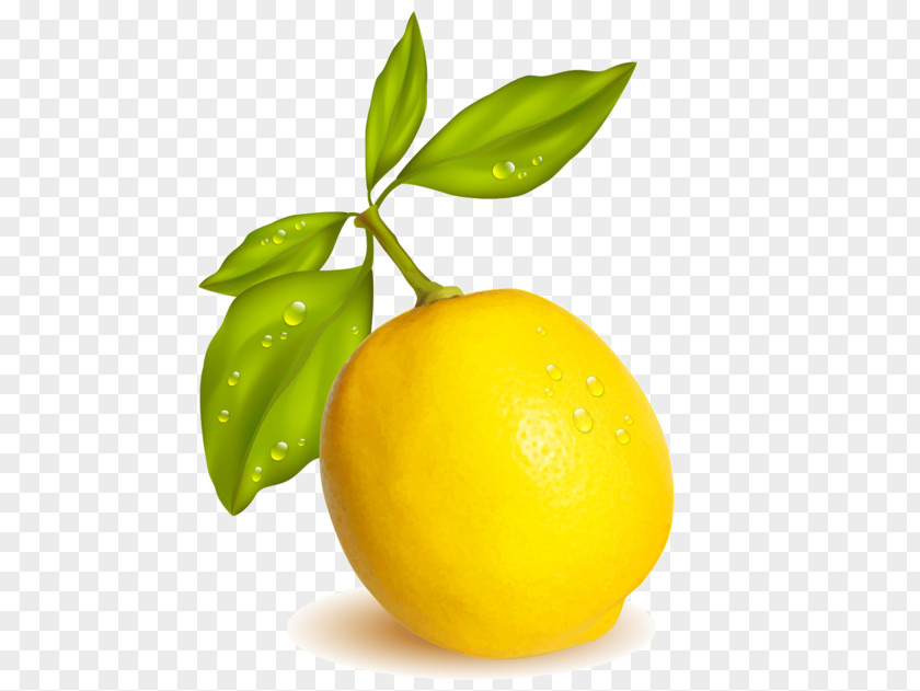 Lemon Lemon-lime Drink Meyer Persian Lime Sweet PNG
