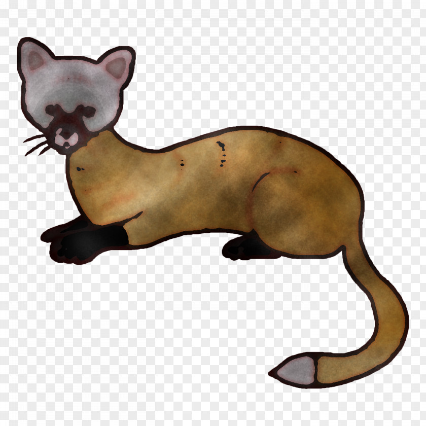 Whiskers Cat Mustelids Puma PNG