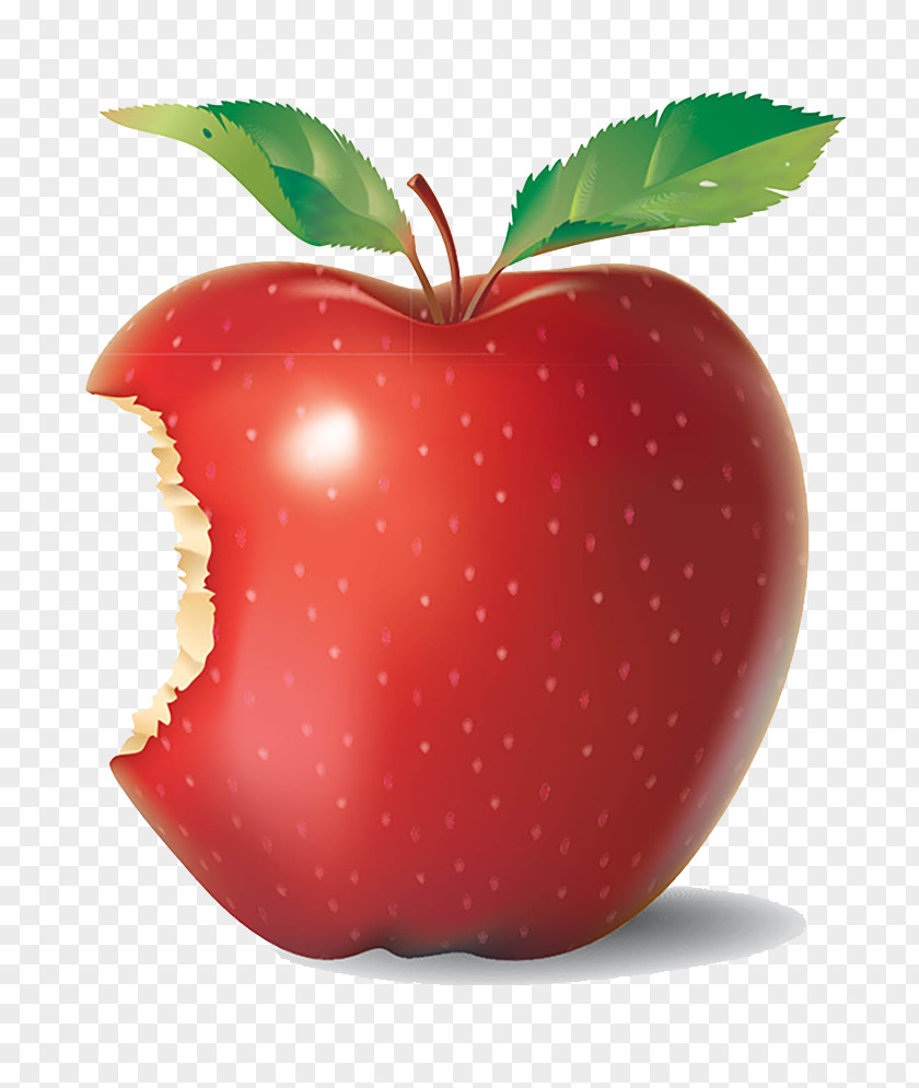 Apple Clip Art PNG