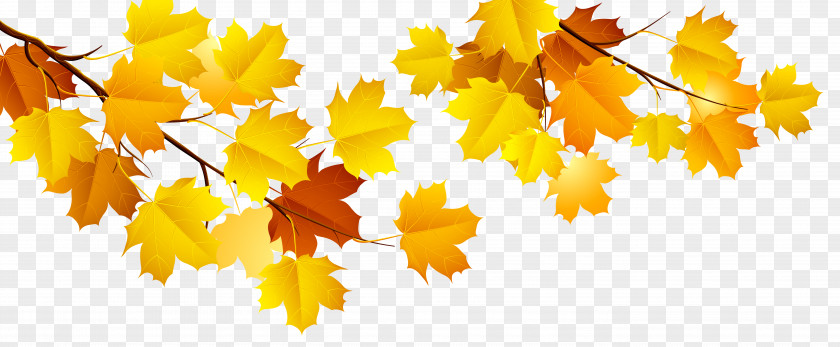 Autumn Branch Clipart Computer File PNG