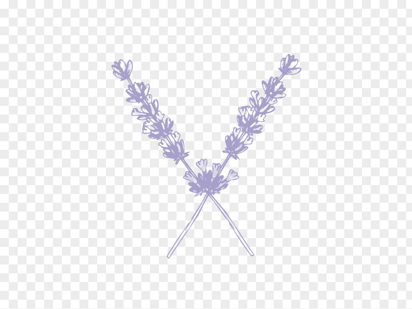 Bush Lavender Clip Art Image Watercolor Painting Drawing PNG