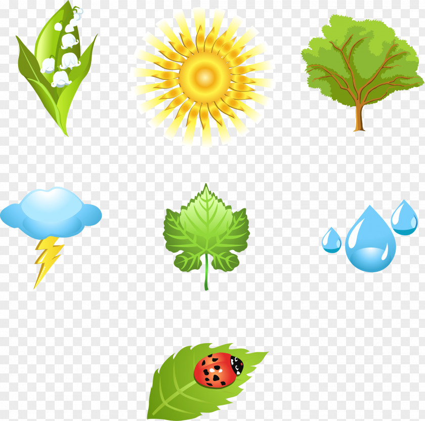 Natural Elements Nature Icon PNG