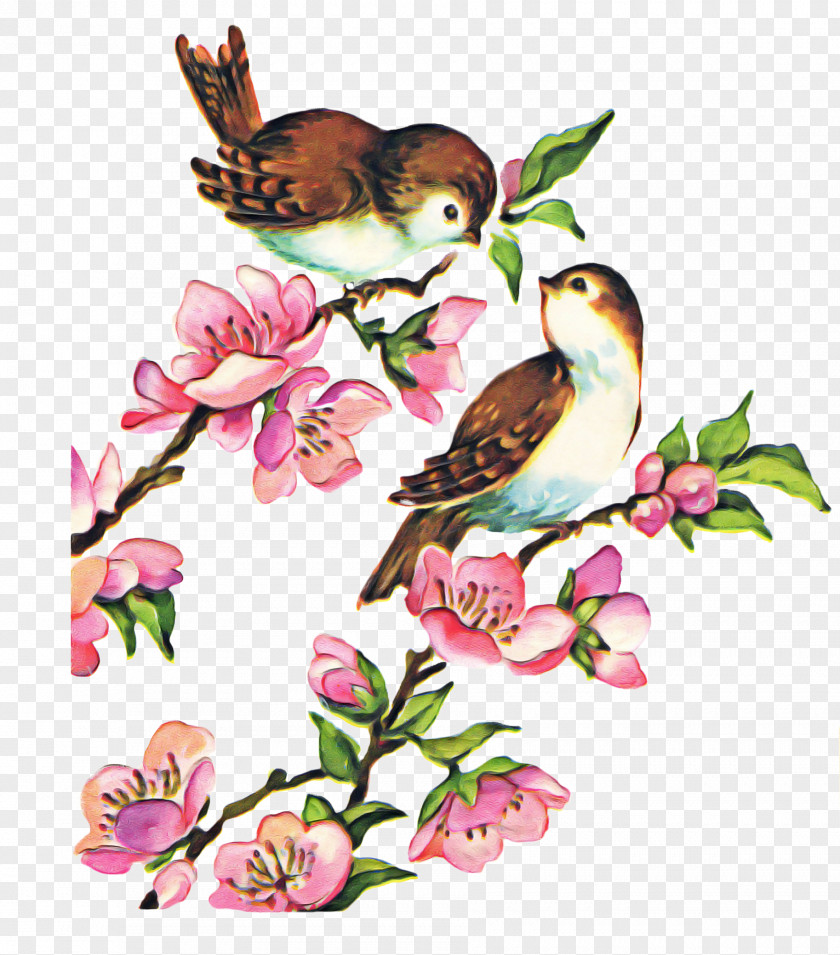 Twig Beak Lovebird PNG