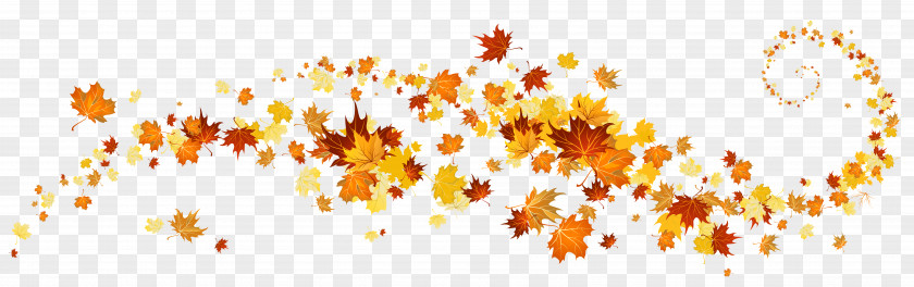 Autumn Leaves Decoration Clipart Leaf Color Clip Art PNG