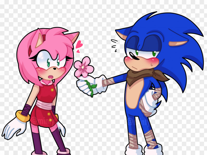 BUMS Amy Rose Sonic Riders And The Black Knight Hedgehog Universe PNG