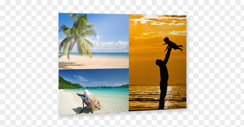 Collage Flyer Caribbean Vacation Stock Photography Summer PNG