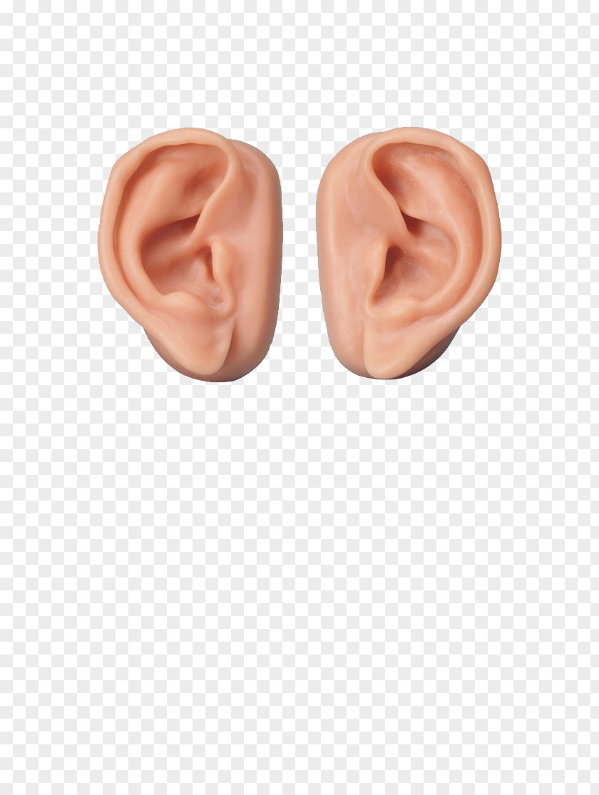 Ear Hearing Outer Inner Middle PNG