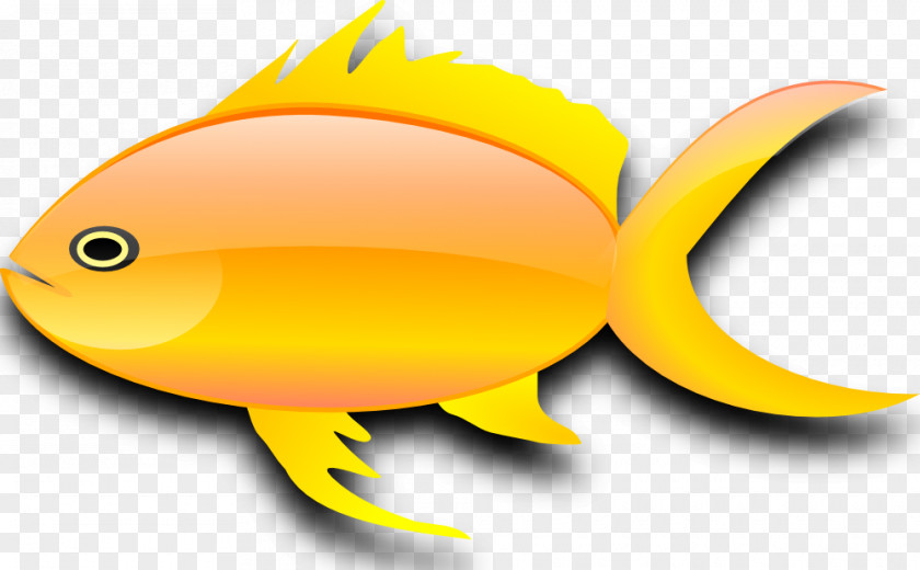 Gold Fish Clipart Carassius Auratus Clip Art PNG