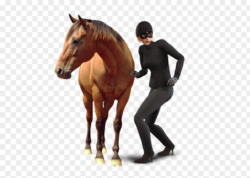 Horse Stallion Equestrian PNG