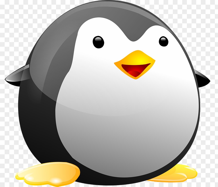 Linux Logo Penguin Tux Bird Clip Art PNG