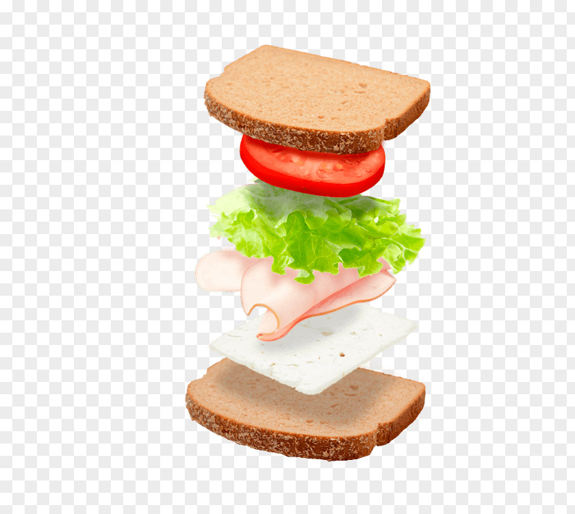 Nutritionist Ham And Cheese Sandwich Adelgaza Y Cuida Tu Cuerpo Comiendo Sano Breakfast Fast Food Hamburger PNG