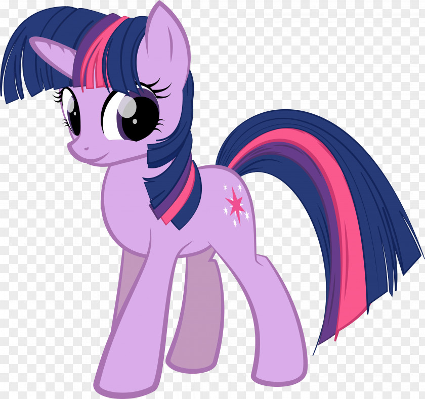 Twilight Sparkle Rarity Pinkie Pie Pony Rainbow Dash PNG