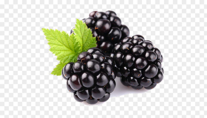 Blackberry Clip Art Fruit Download PNG