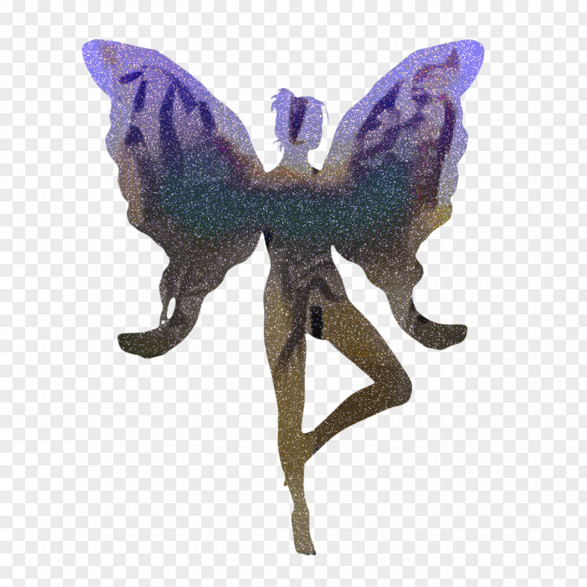 Iris Metal Butterfly Silhouette PNG