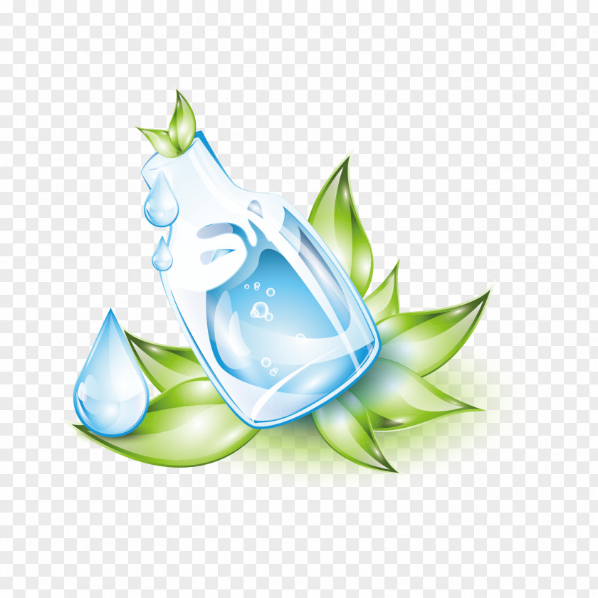 Vector Bottles And Leaves Essential Oil Clip Art PNG