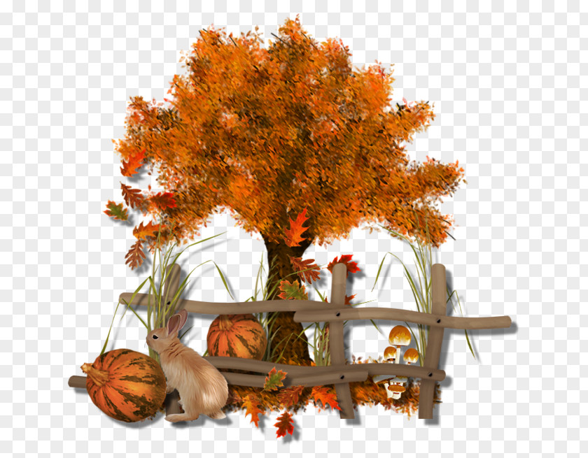 Autumn Tree Twig Clip Art PNG