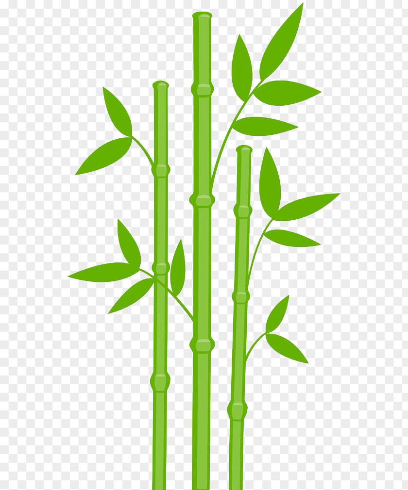 Bamboo Transparent Image Giant Panda Clip Art PNG