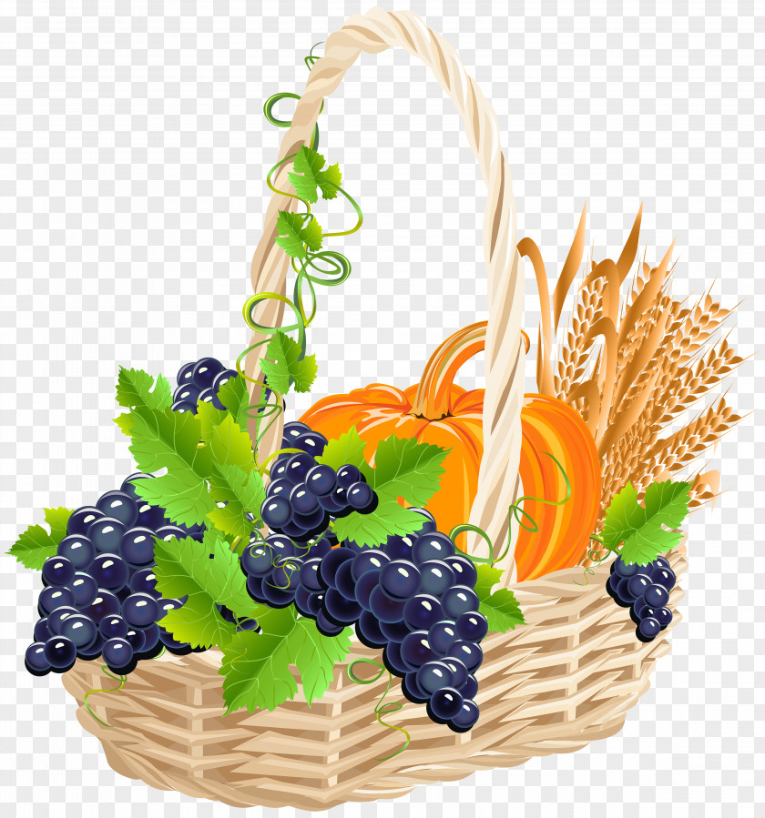 Basket Harvest Grape Fruit PNG