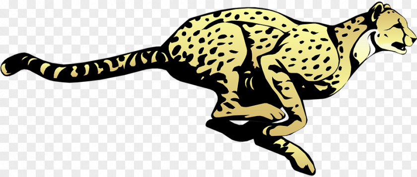 Chester Cheetah Clip Art Leopard Drawing Illustration PNG