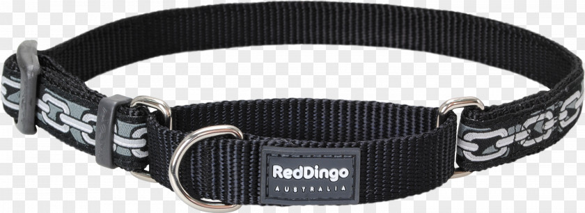 Dog Chain Collar Dingo Leash PNG