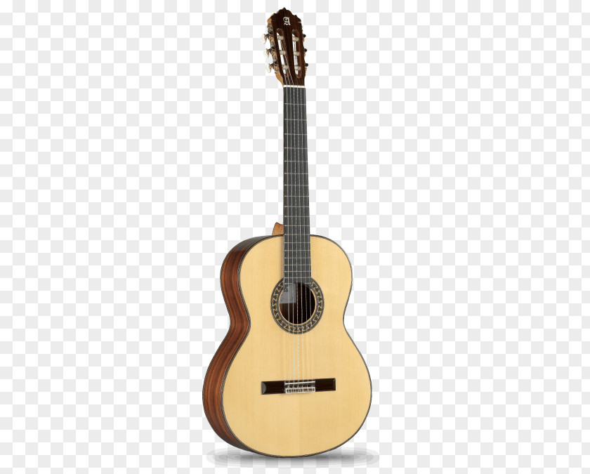 European Wind Stereo Flamenco Guitar Classical Acoustic PNG