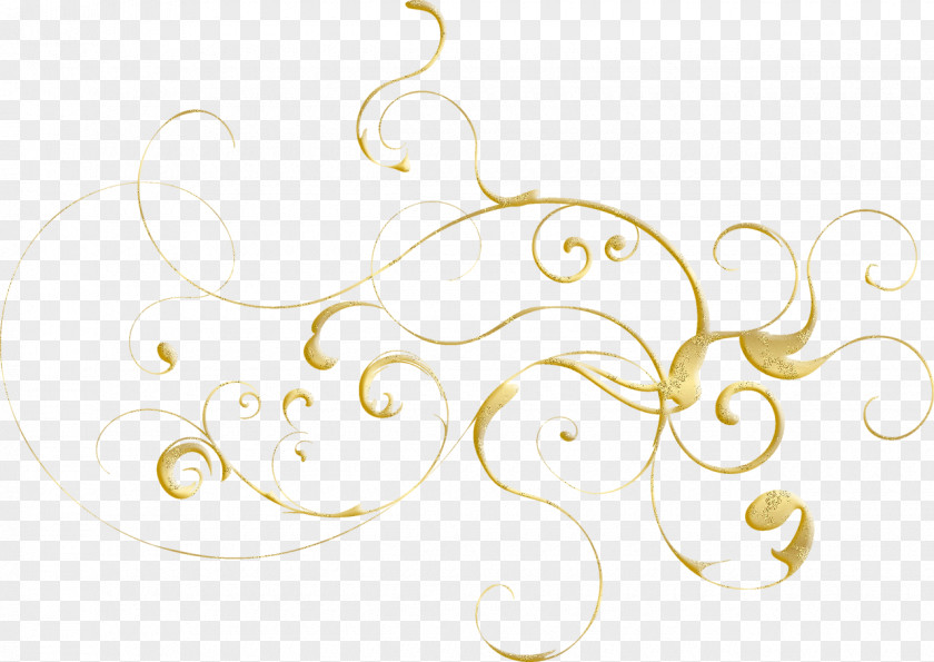 Lace Boarder Ornament PNG