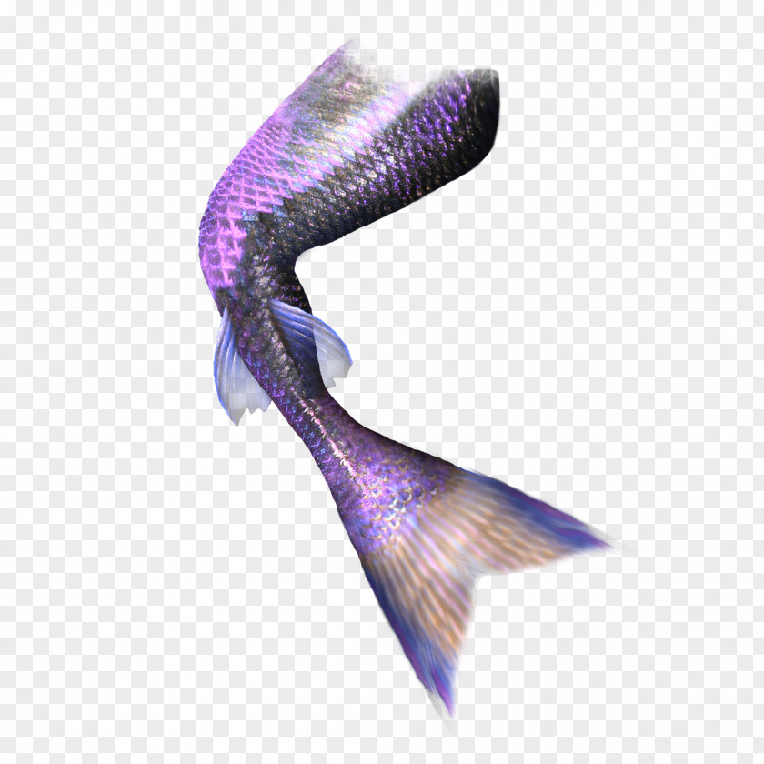 Pretty Purple Mermaid Tail Computer File PNG